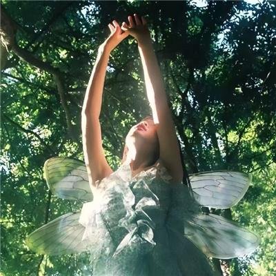 三寸粉笔系深山